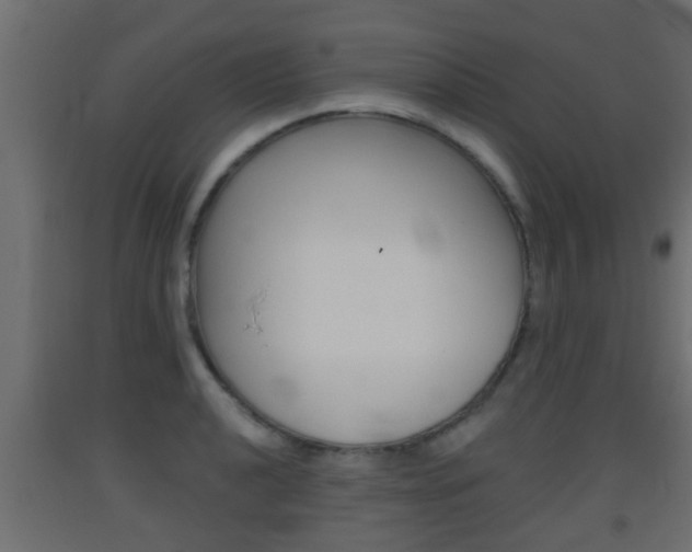 X0000093501040200710121039