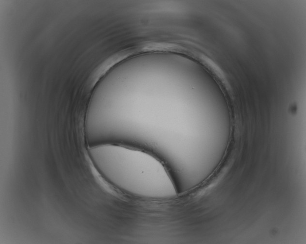 X0000093501041200710121039