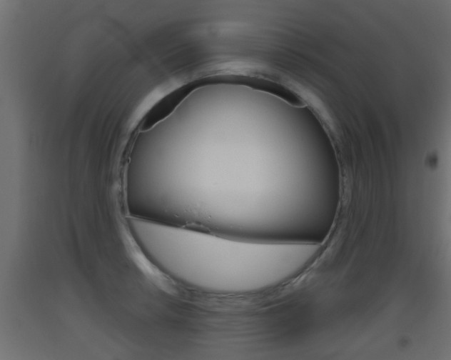 X0000093501042200710121039