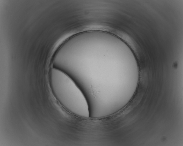X0000093501043200710121039