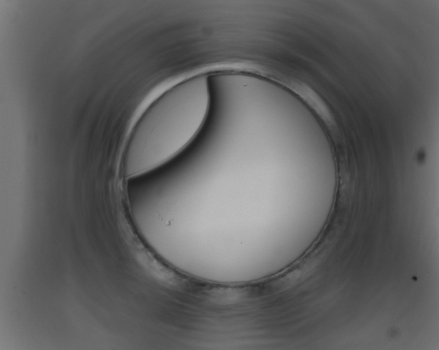 X0000093501044200710121039
