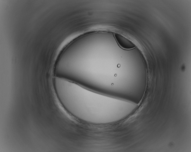 X0000093501045200710121039