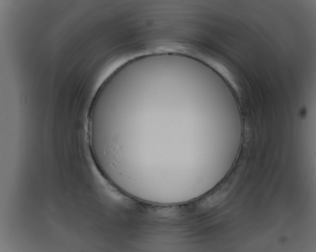 X0000093501047200710121039