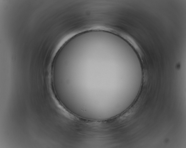 X0000093501048200710121039