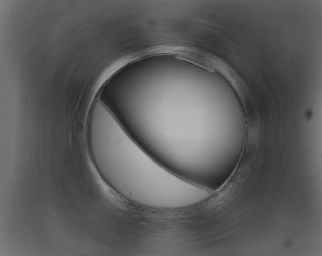 X0000093501050200710121039