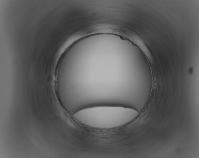 X0000093501051200710121039