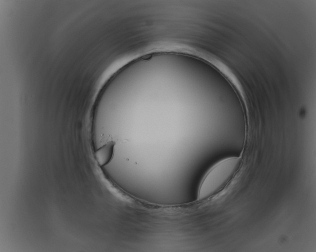 X0000093501053200710121039