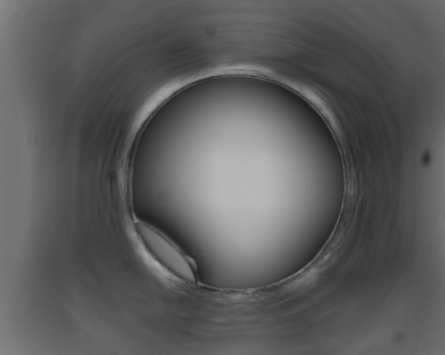X0000093501054200710121039