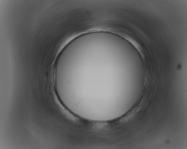 X0000093501055200710121039