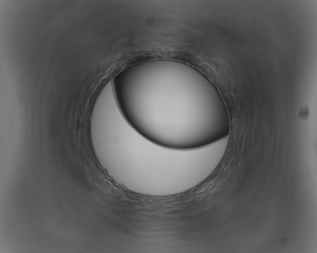 X0000093501057200710121038