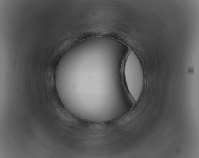 X0000093501058200710121038