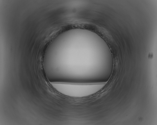 X0000093501060200710121038