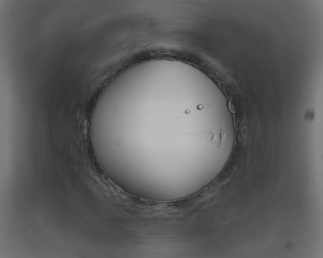 X0000093501061200710121038