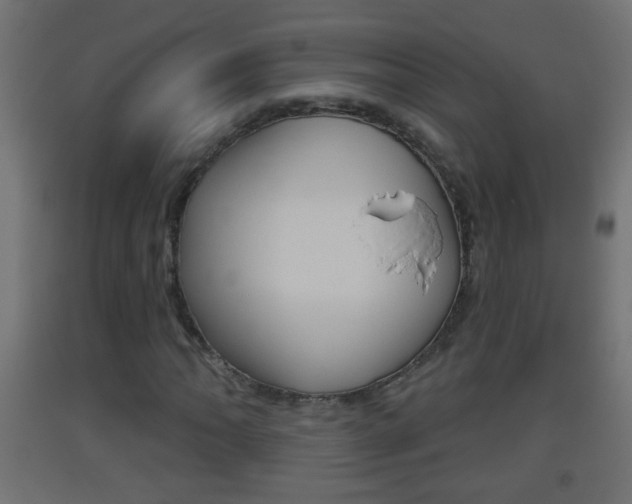X0000093501062200710121038