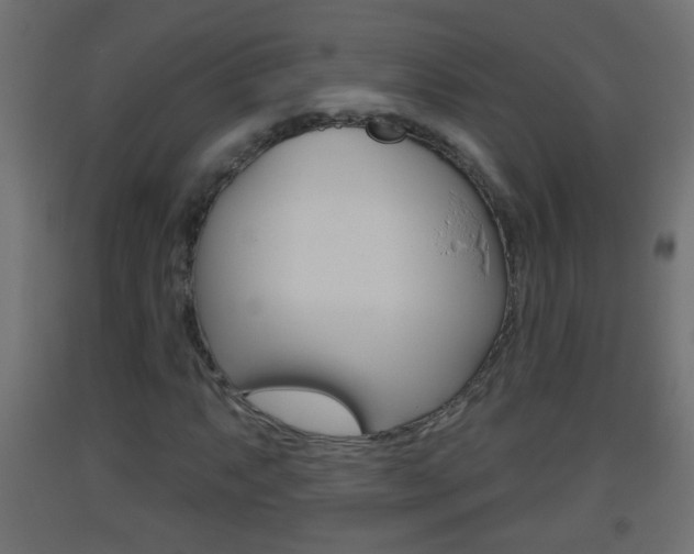 X0000093501063200710121038