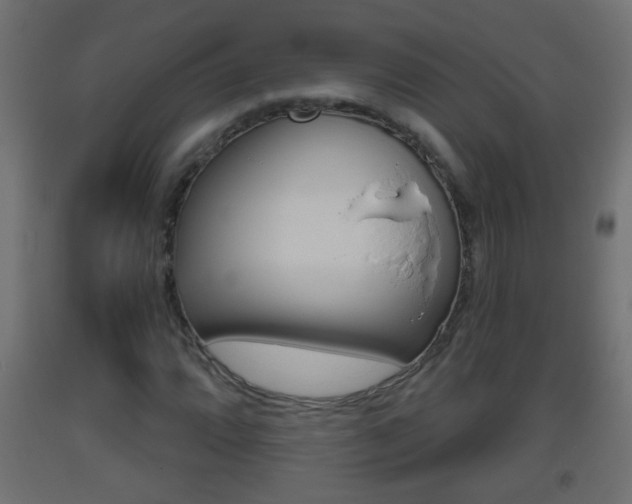 X0000093501064200710121038