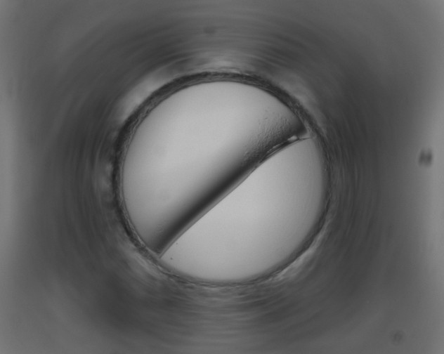 X0000093501066200710121038