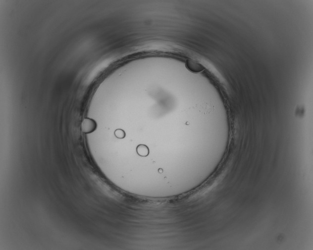 X0000093501067200710121038