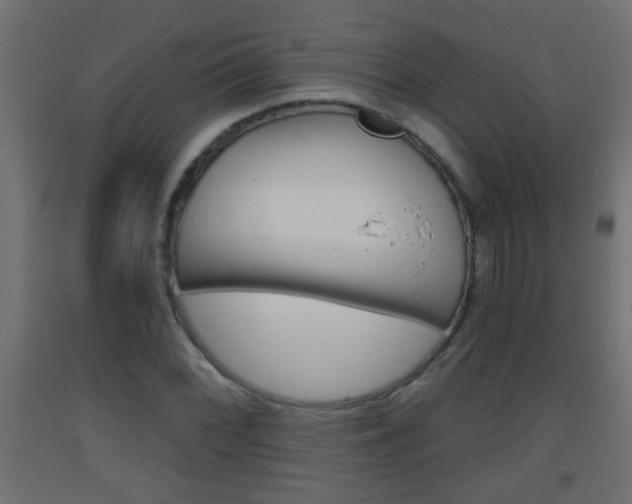 X0000093501068200710121038
