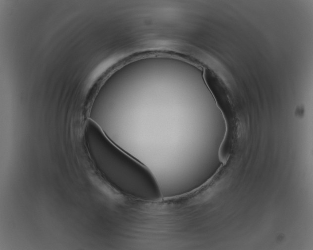 X0000093501069200710121038