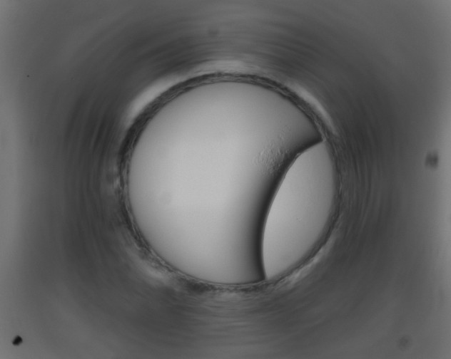 X0000093501070200710121038