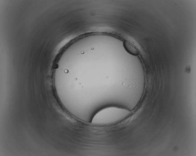X0000093501071200710121038