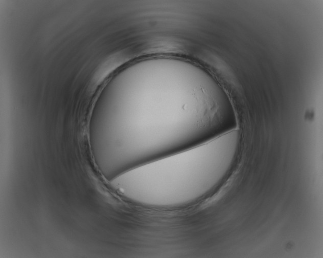 X0000093501073200710121038
