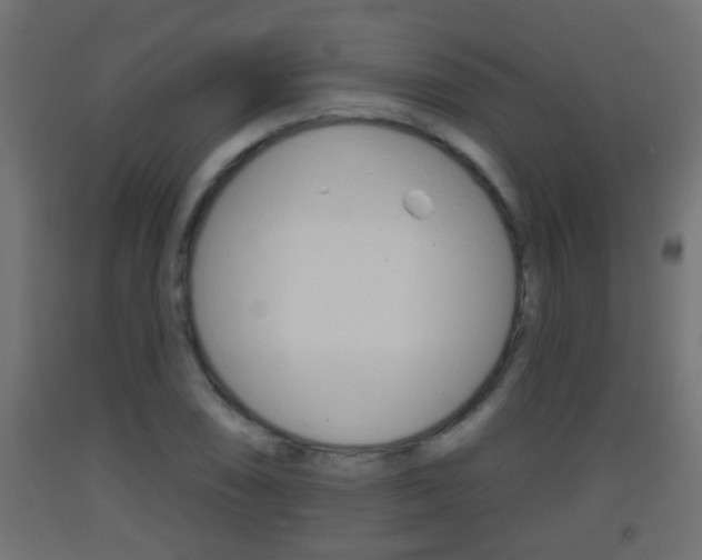 X0000093501074200710121038
