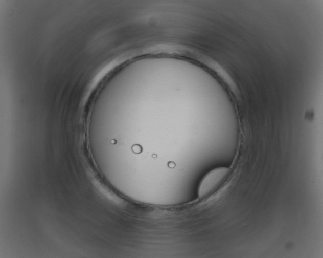 X0000093501075200710121038