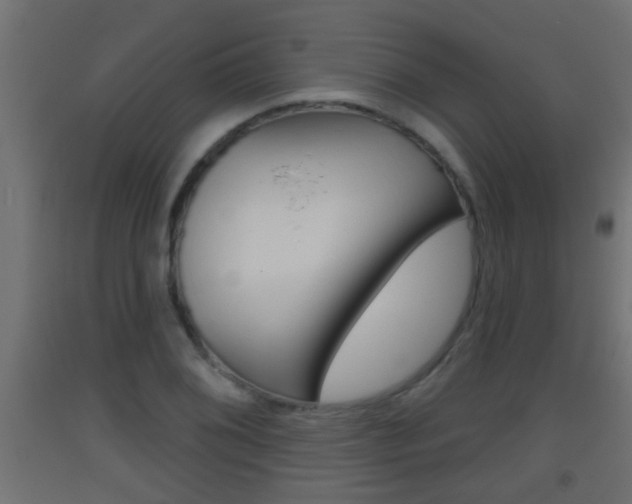 X0000093501076200710121038