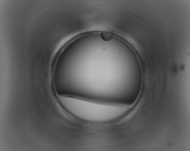 X0000093501077200710121038