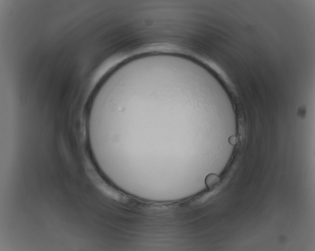 X0000093501078200710121038