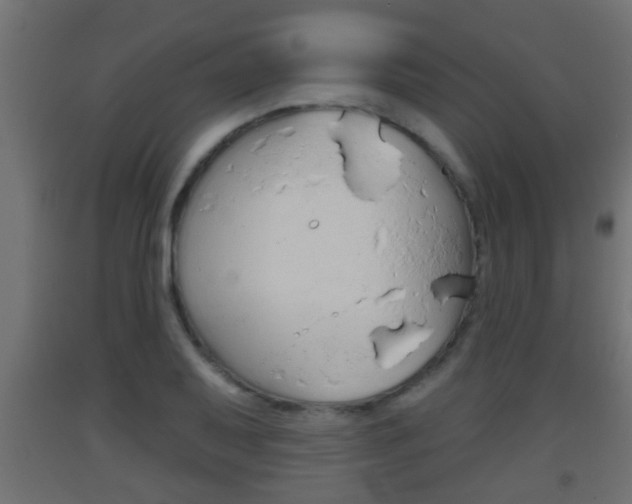 X0000093501079200710121038