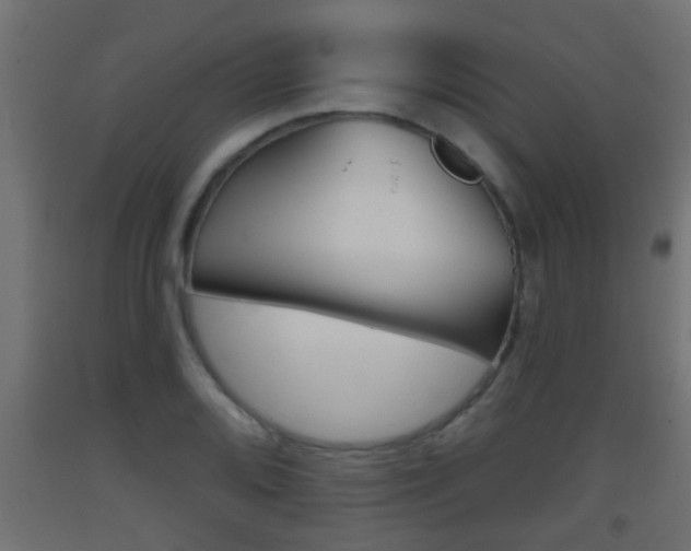 X0000093501080200710121038