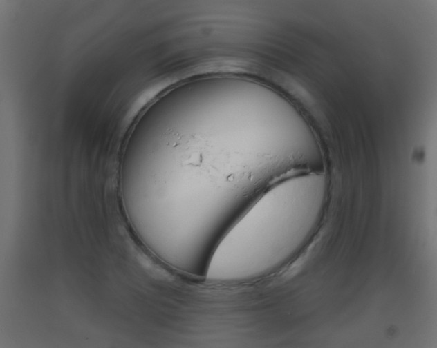 X0000093501081200710121038