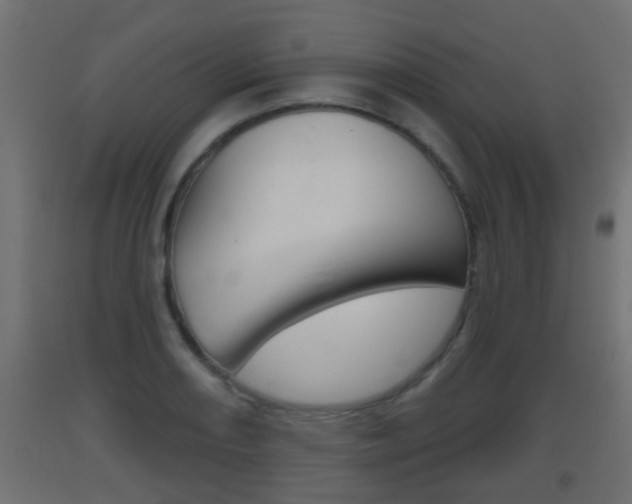 X0000093501082200710121038