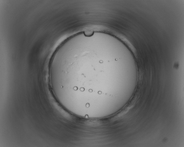 X0000093501083200710121038