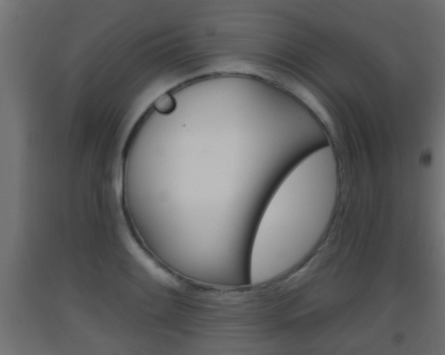X0000093501084200710121038