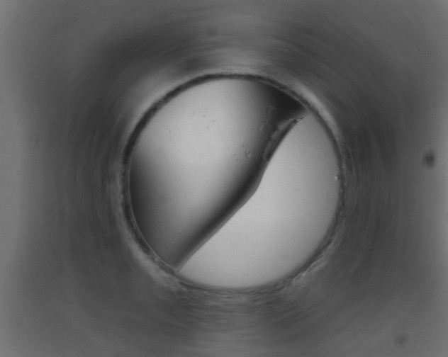 X0000093501085200710121038
