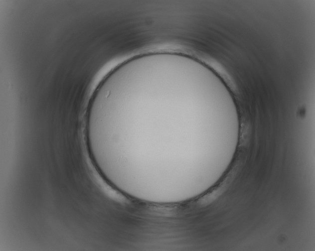 X0000093501086200710121038