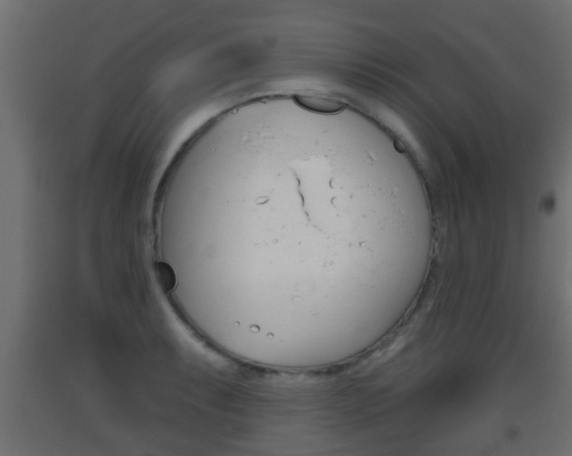 X0000093501087200710121038