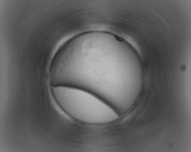 X0000093501088200710121038