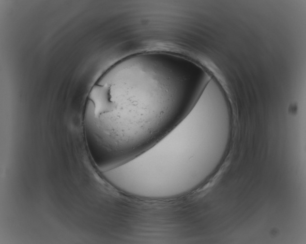 X0000093501089200710121038