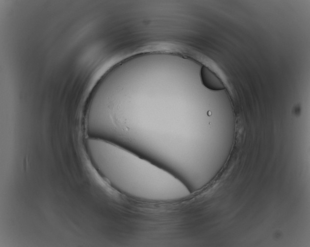 X0000093501091200710121038