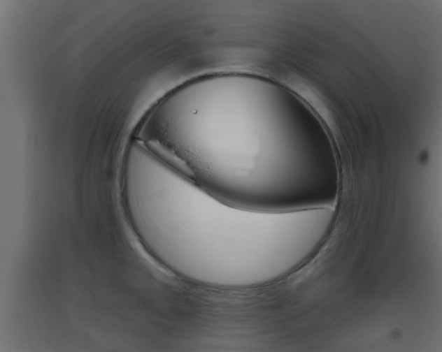 X0000093501093200710121038