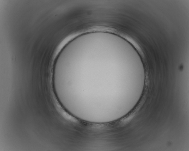 X0000093501094200710121037
