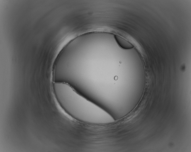 X0000093501095200710121037
