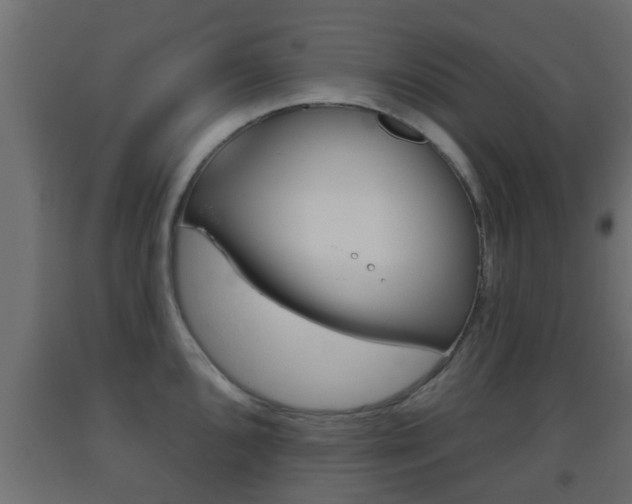 X0000093501096200710121037