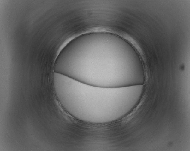 X0000093501097200710121037