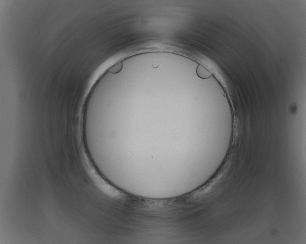 X0000093501098200710121037